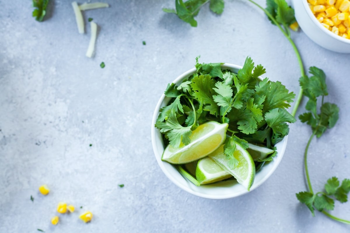 ¿El agua de cilantro es buena para dormir?