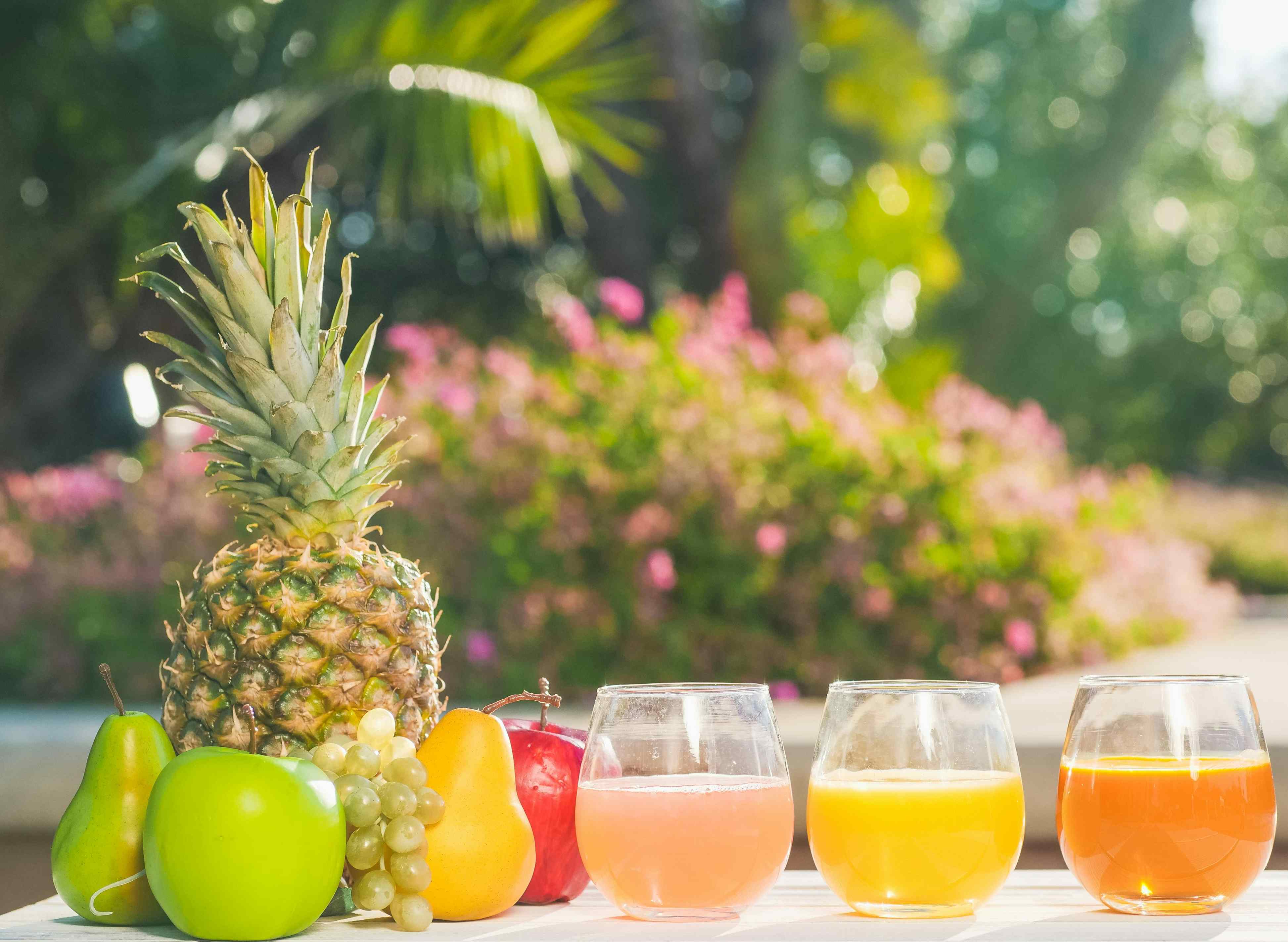Guía Sobre los Jugos Detox: Beneficios y Cómo Incorporarlos a la Dieta
